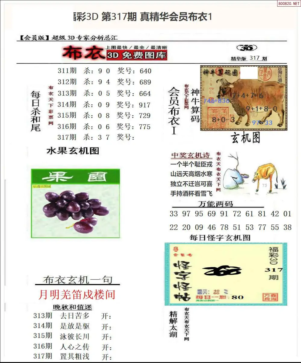 真精华会员布衣1