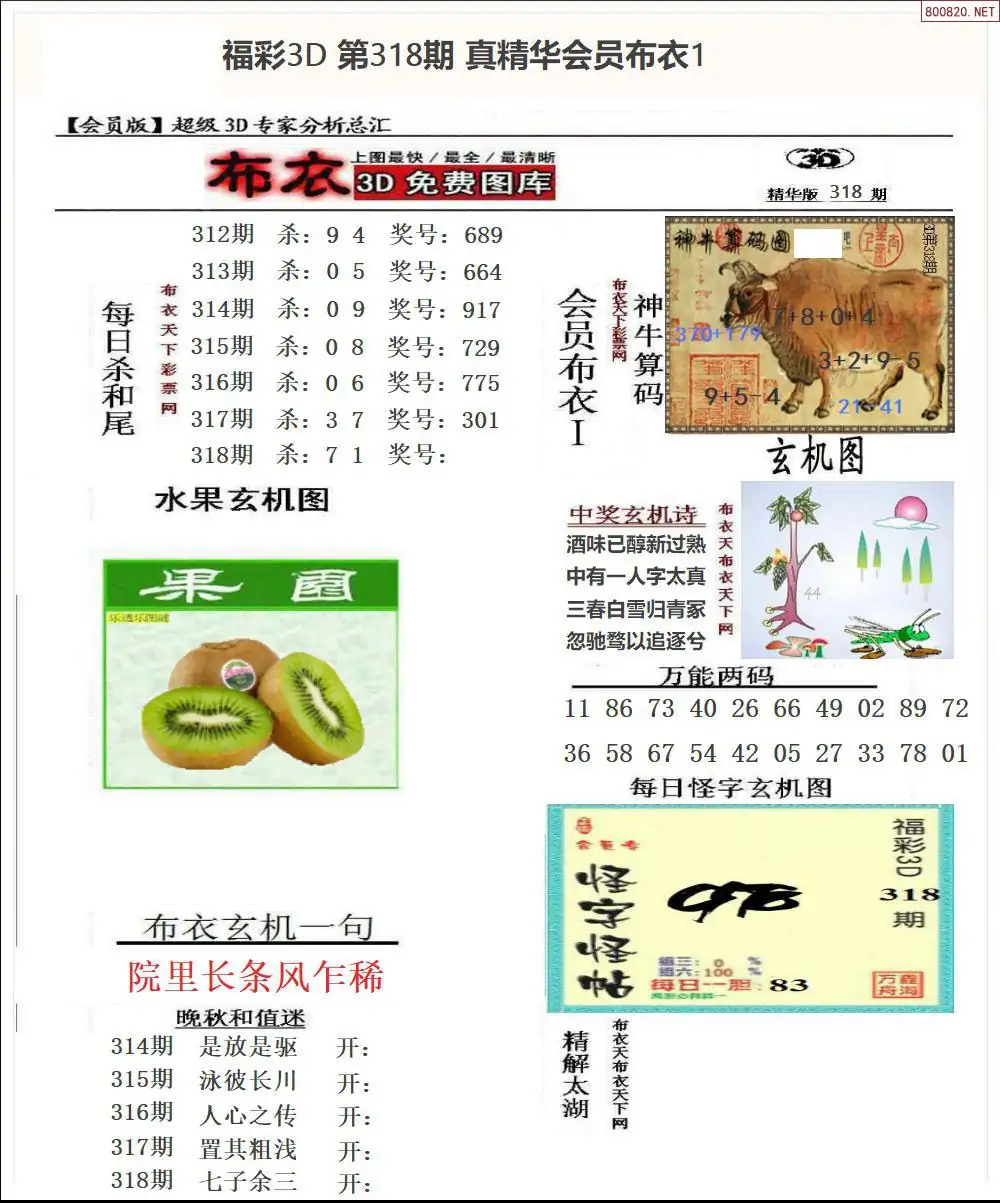 真精华会员布衣1