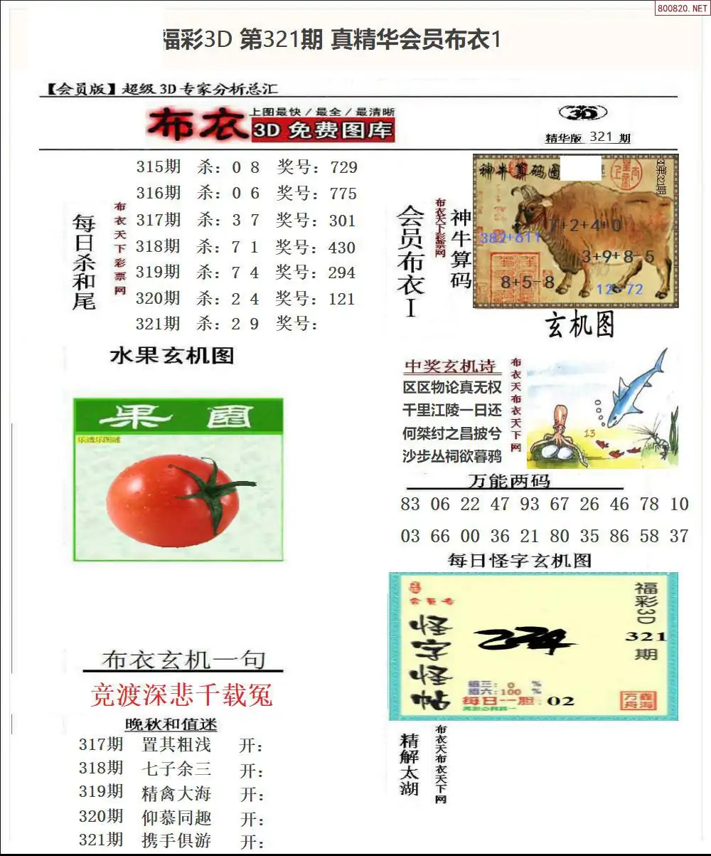 真精华会员布衣1