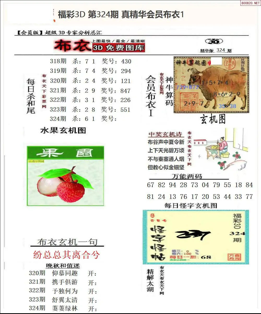 真精华会员布衣1