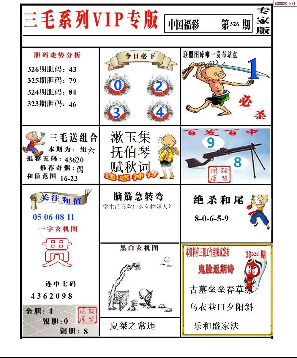 三毛系列VIP专版