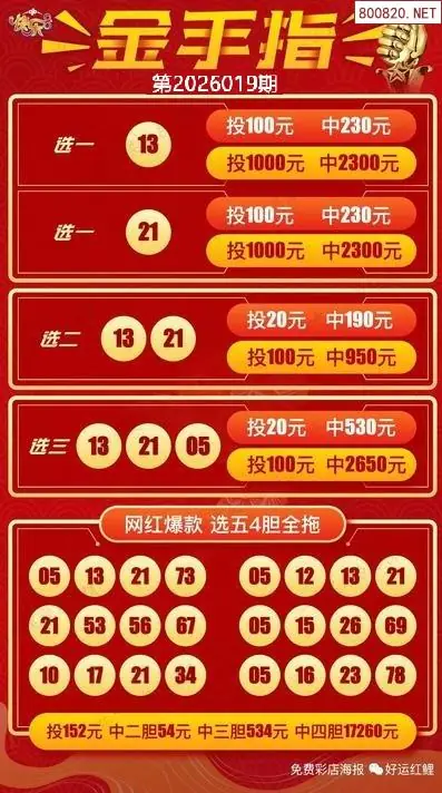 金手指选五四胆