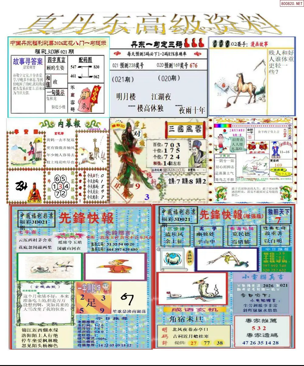 真丹东高级资料