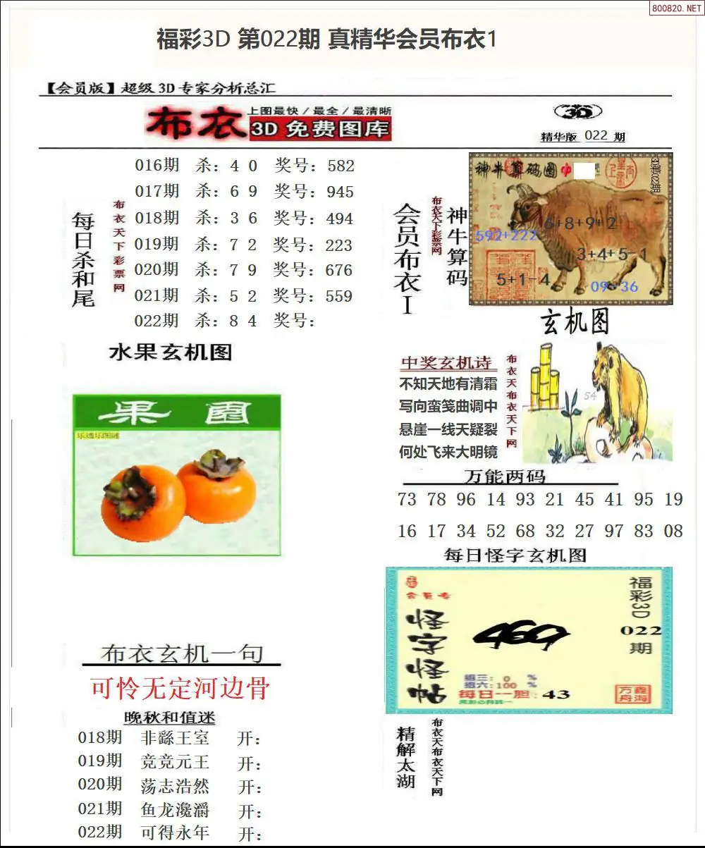 真精华会员布衣1