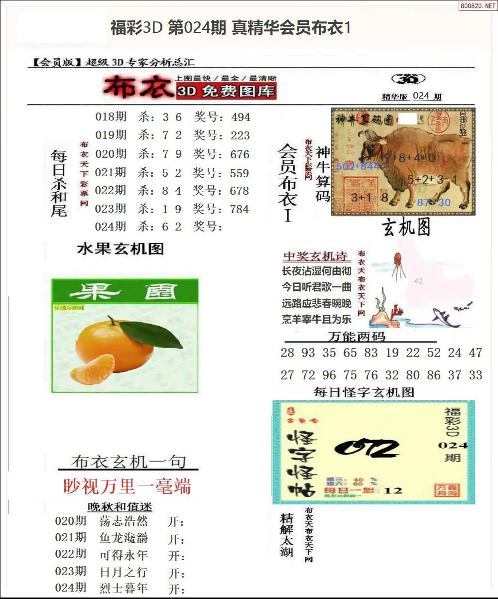 真精华会员布衣1