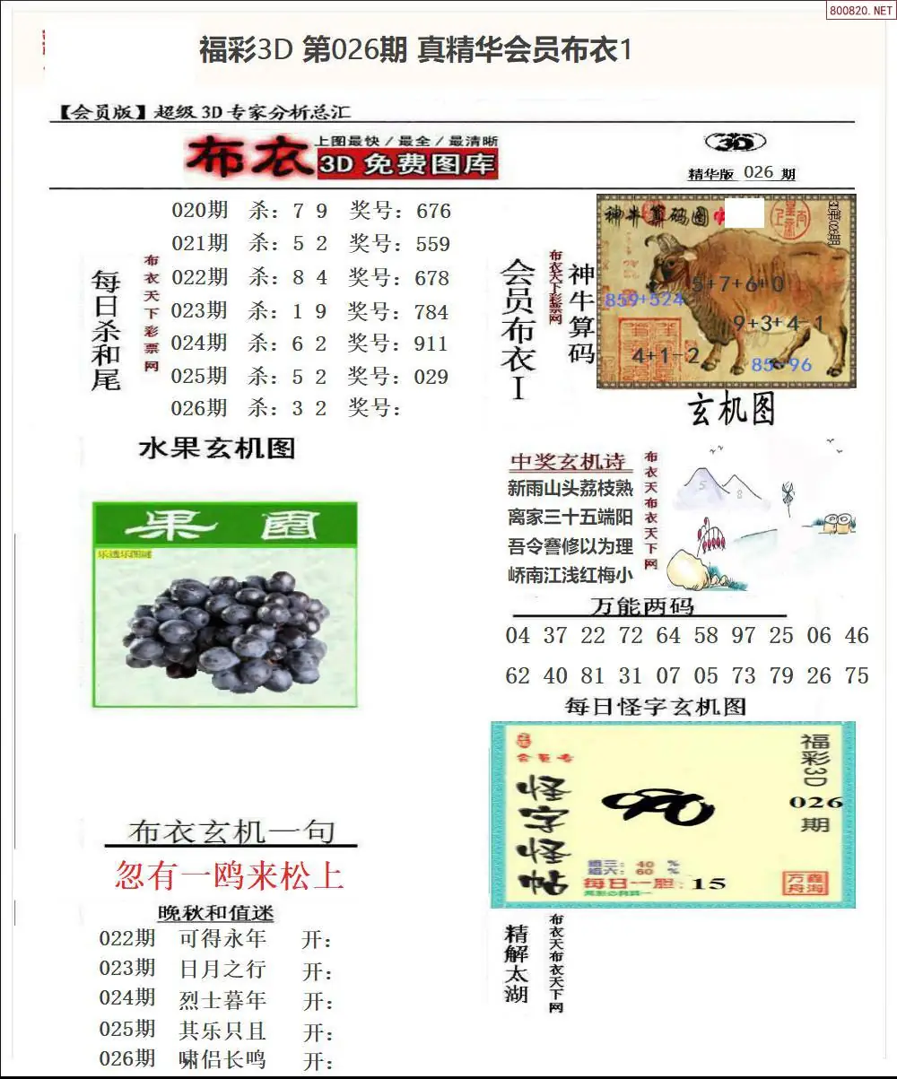 真精华会员布衣1