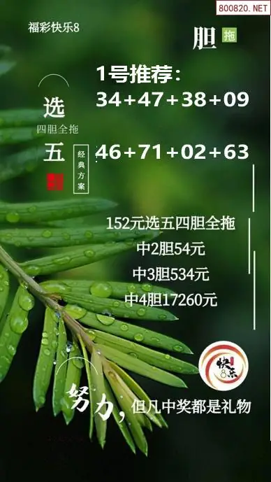 经典胆拖投注