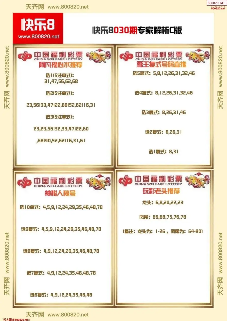 快乐8专家解析C版