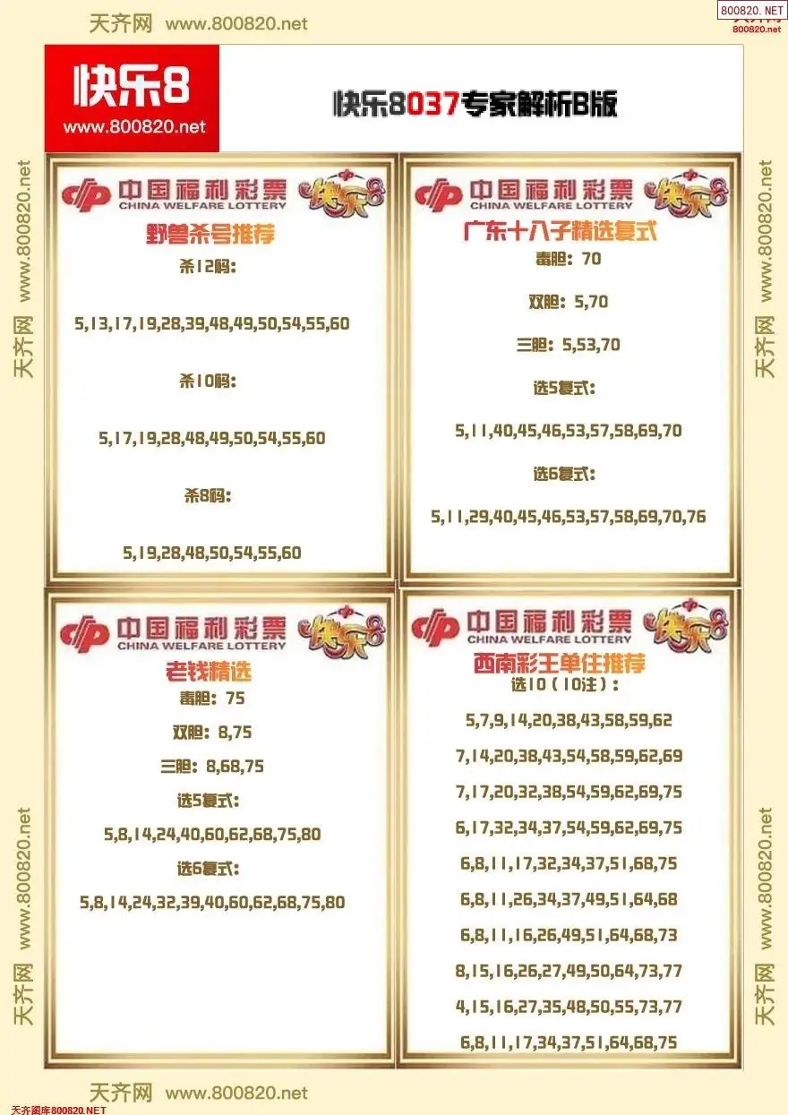 快乐8专家解析B版