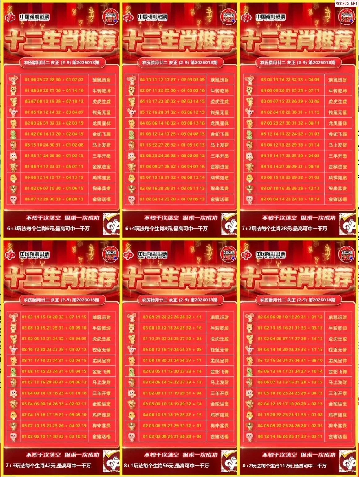 十二生肖推荐图