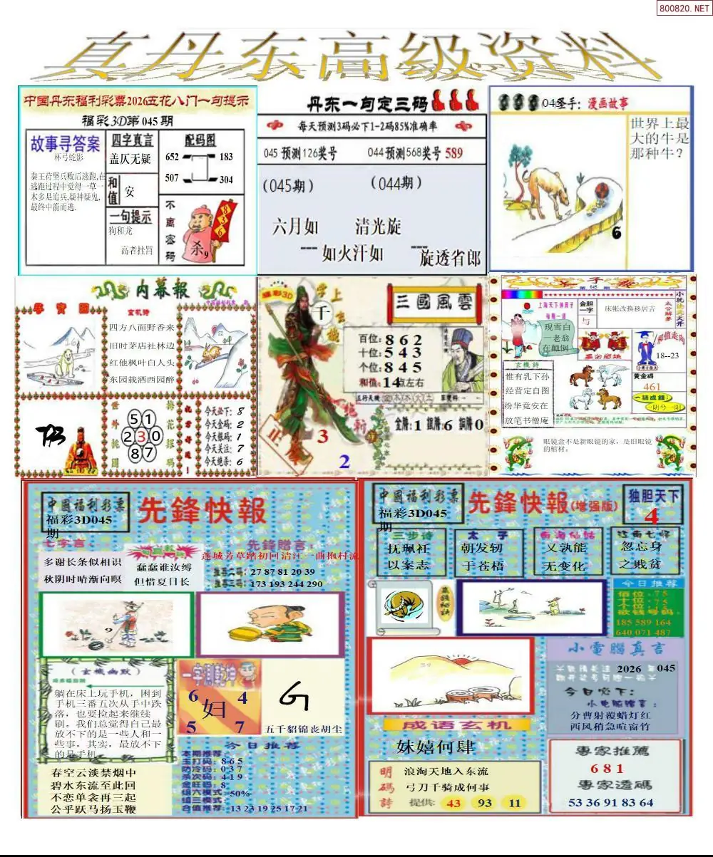 真丹东高级资料