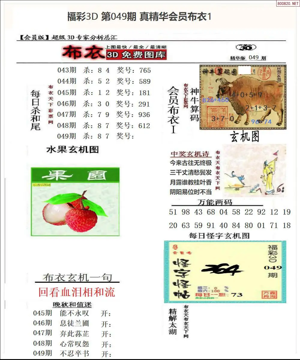 真精华会员布衣1