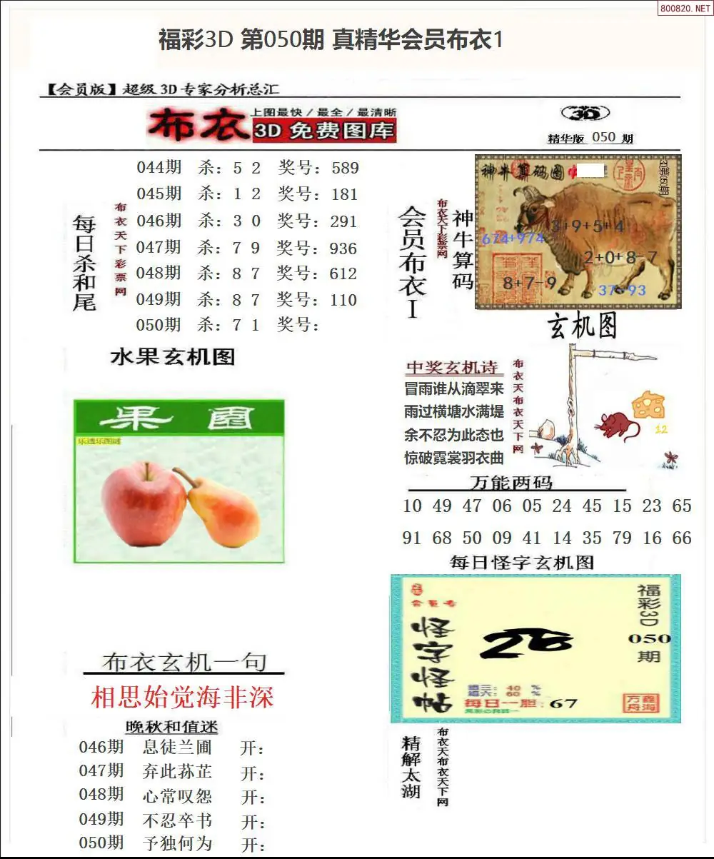 真精华会员布衣1