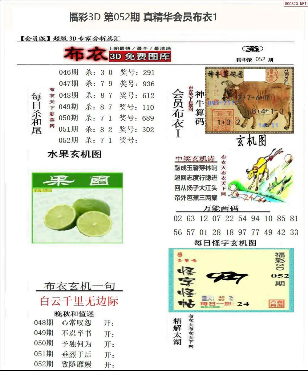 真精华会员布衣1