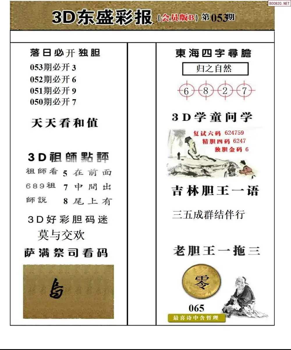 东盛VIP版B版