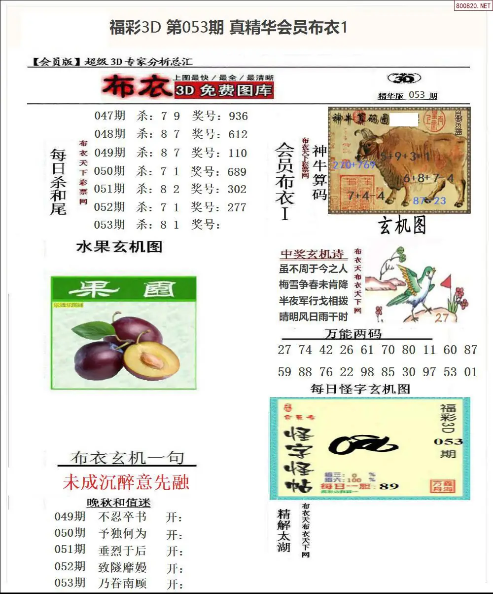 真精华会员布衣1