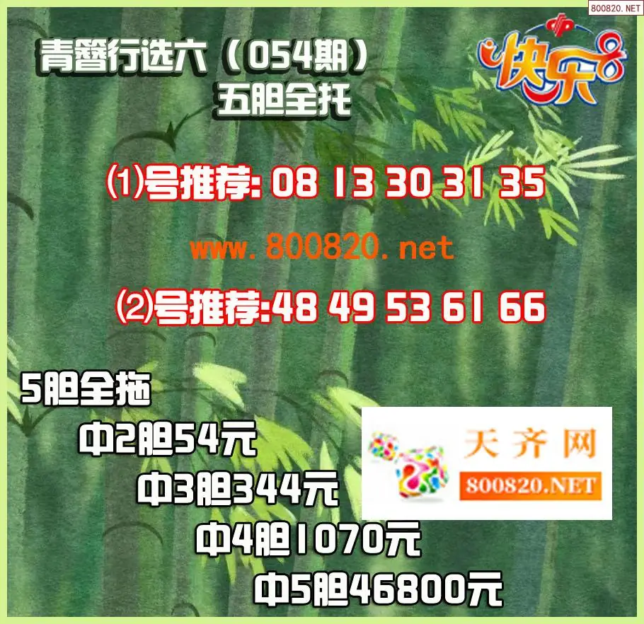 青簪行胆拖图