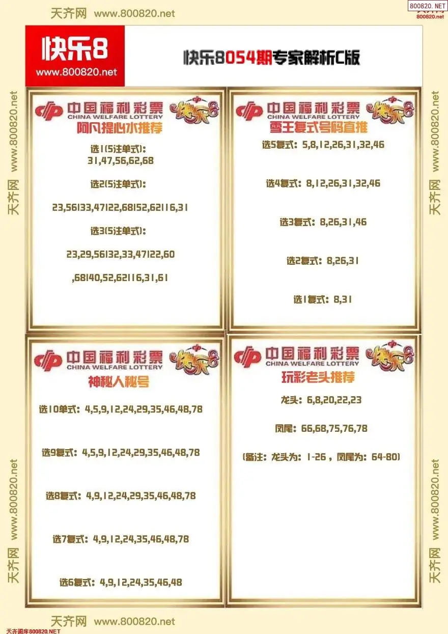 快乐8专家解析C版