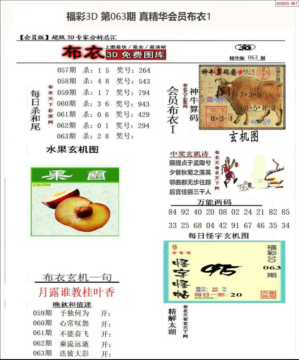 真精华会员布衣1