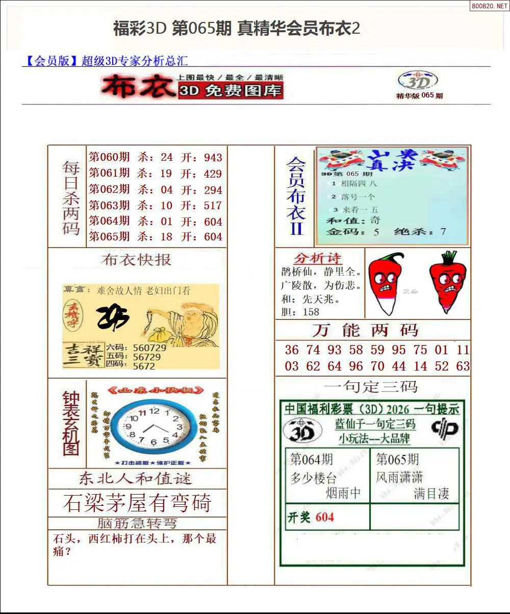 真精华会员布衣2