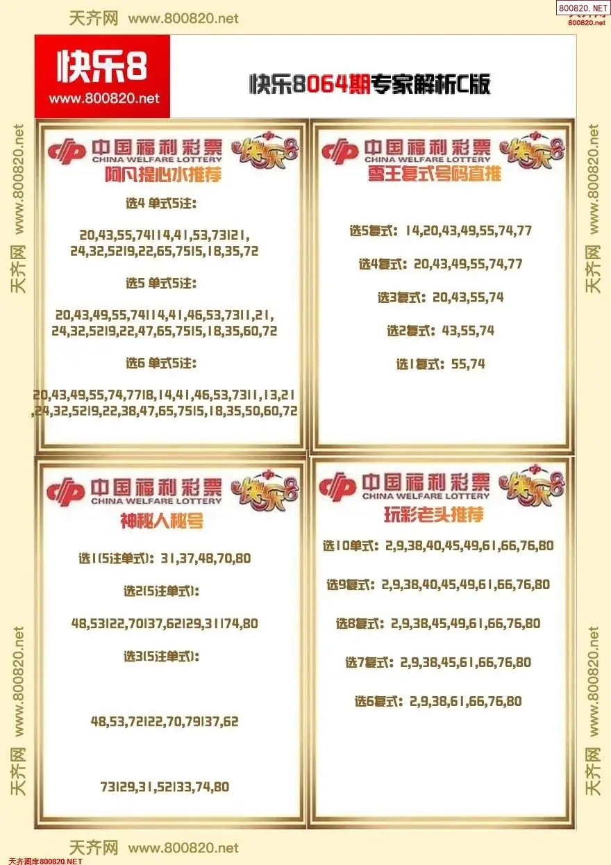 快乐8专家解析C版