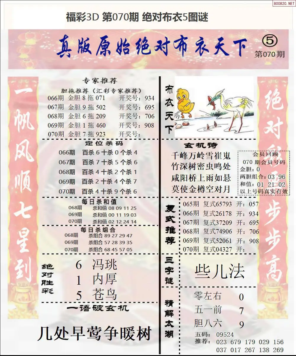 绝对布衣5