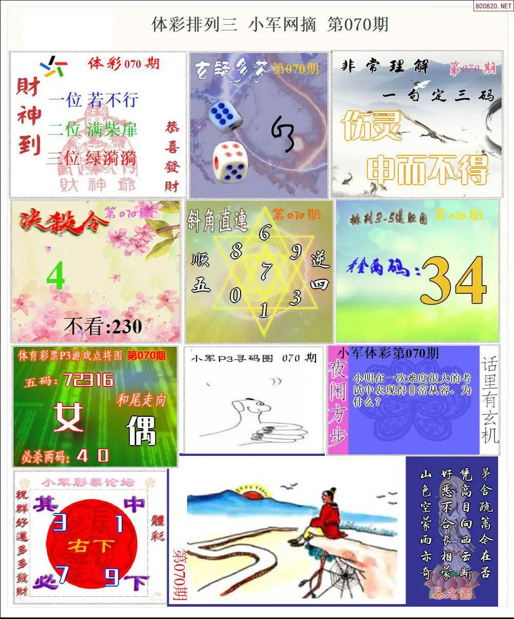 体彩P3小军网摘版