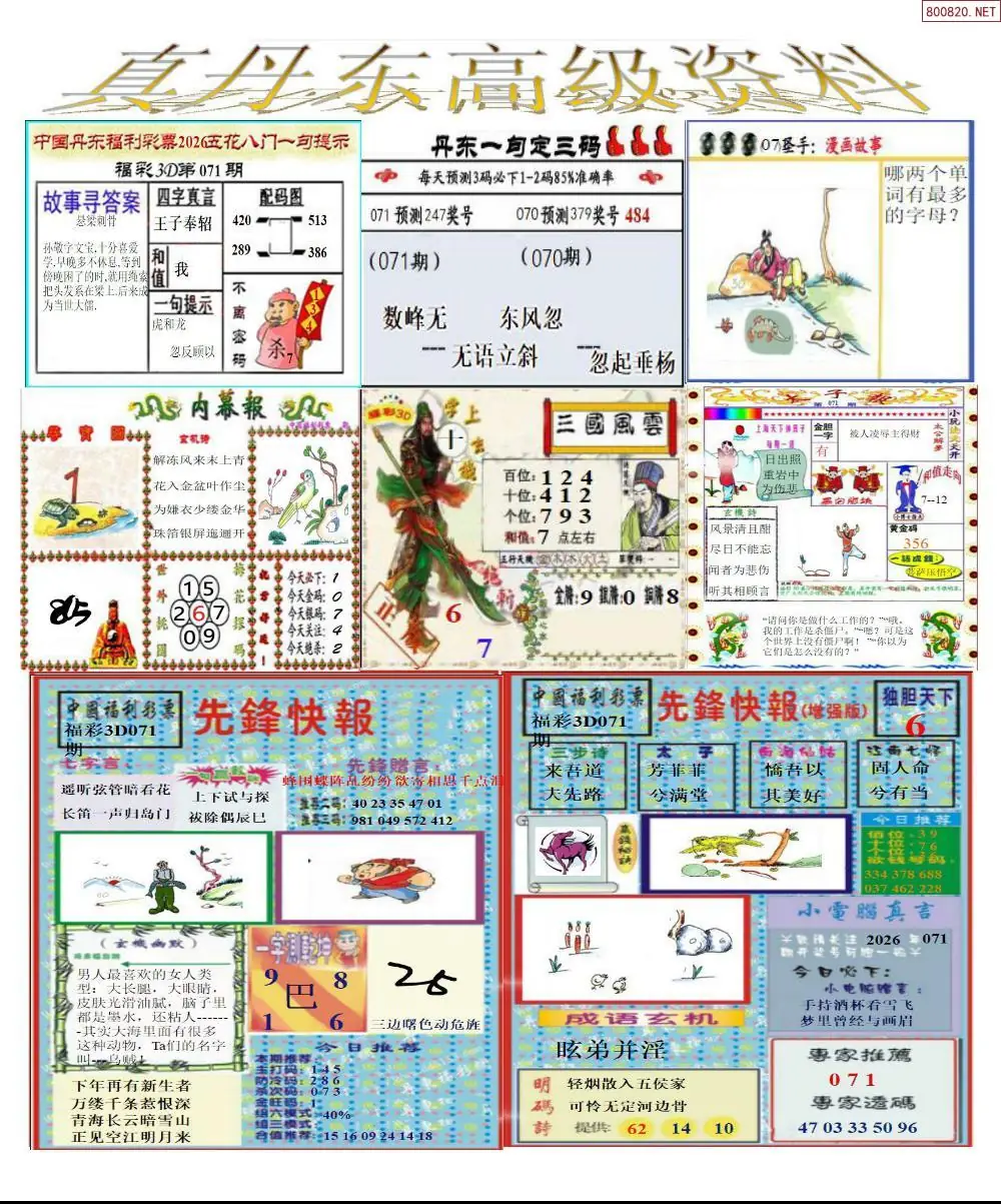 真丹东高级资料