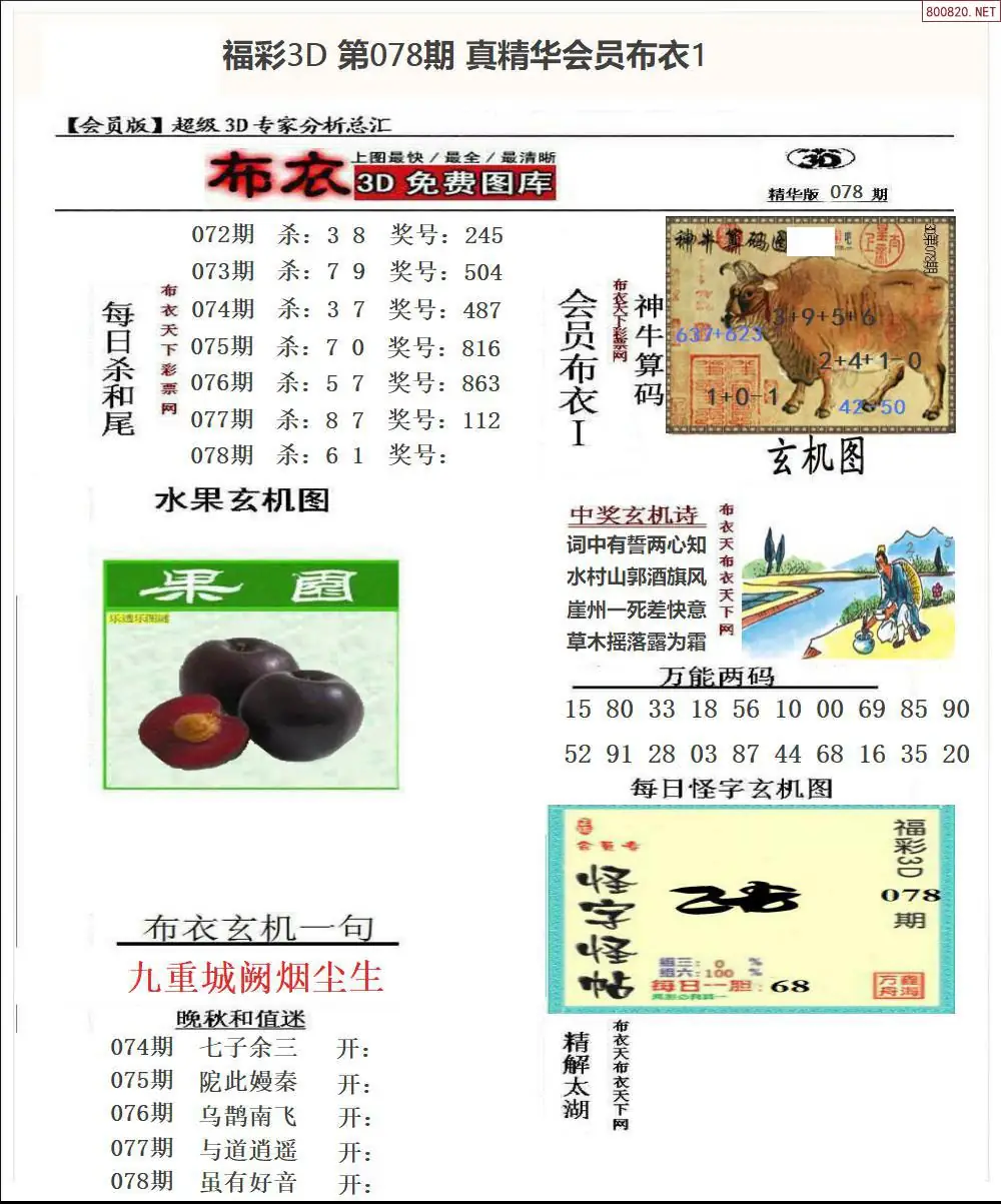 真精华会员布衣1