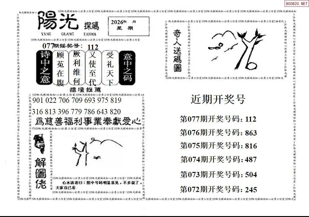 3D阳光探码