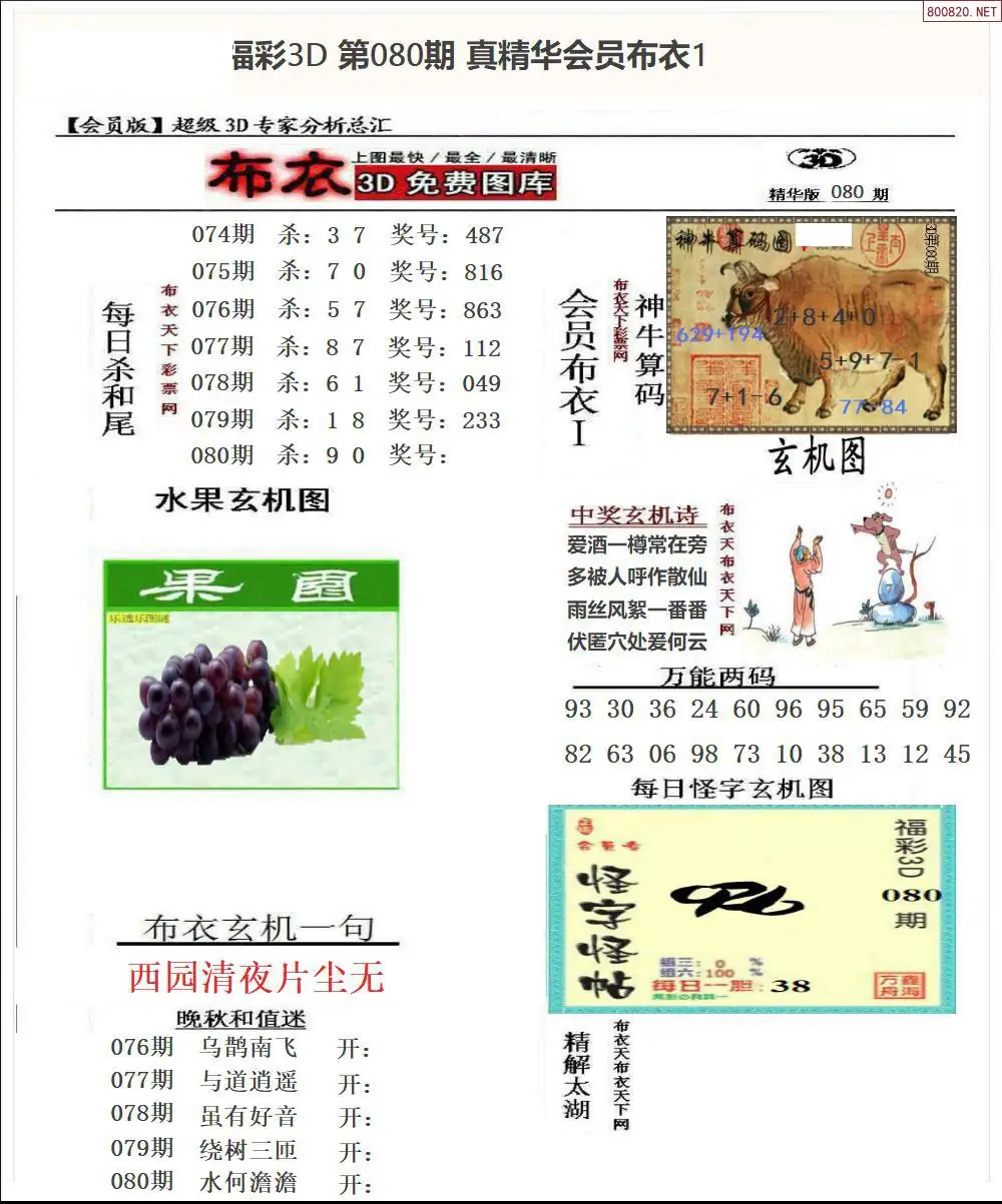 真精华会员布衣1