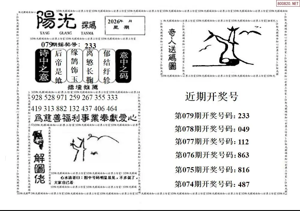 3D阳光探码