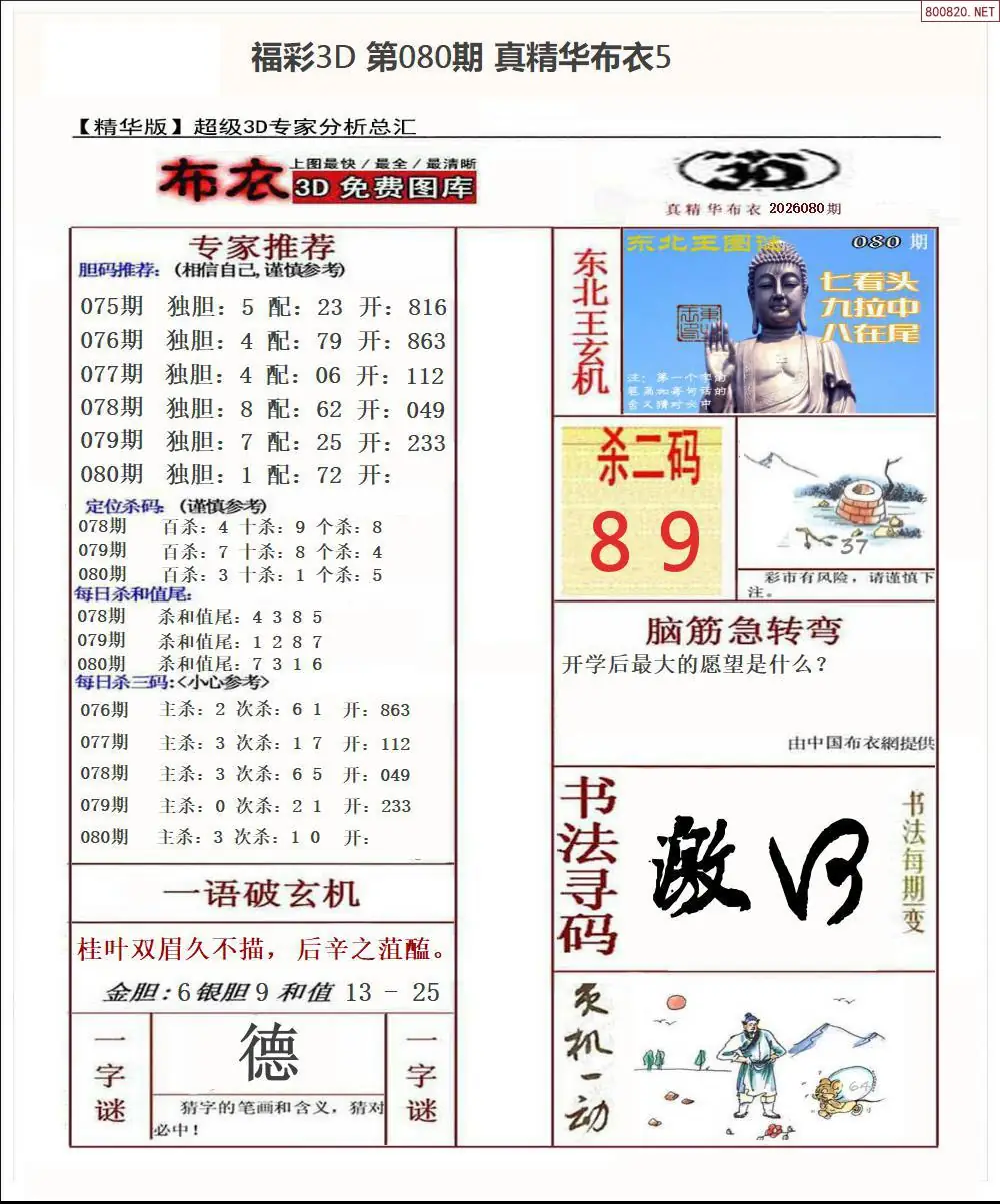 真精华布衣5