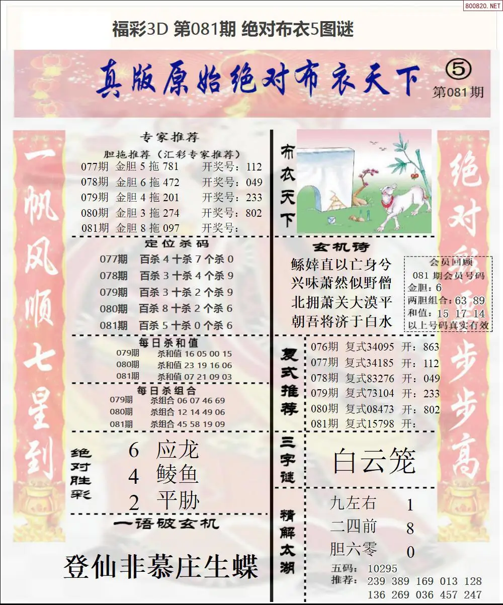 绝对布衣5