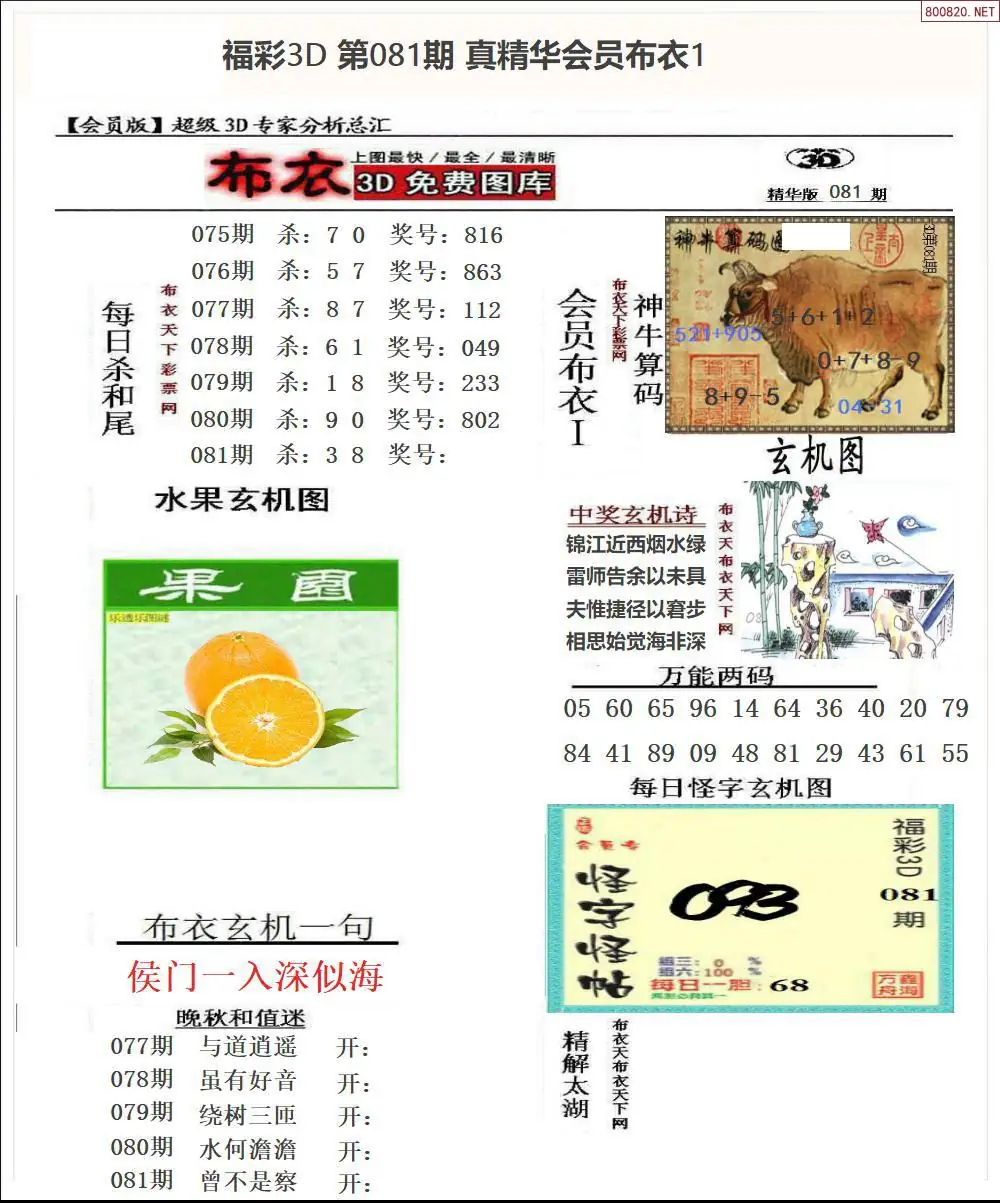 真精华会员布衣1