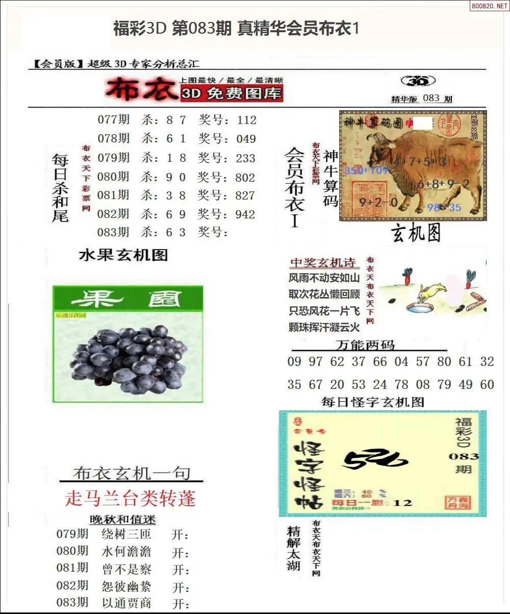 真精华会员布衣1