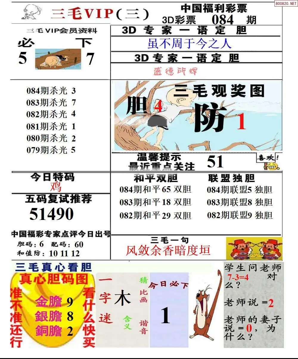 三毛VIP三版