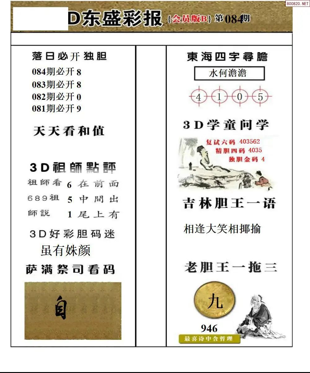 东盛VIP版B版