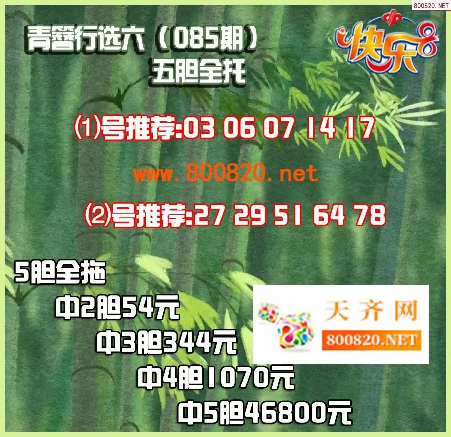 青簪行胆拖图