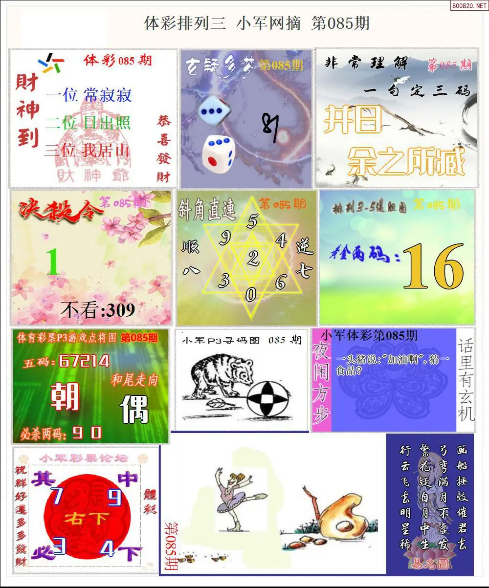 体彩P3小军网摘版