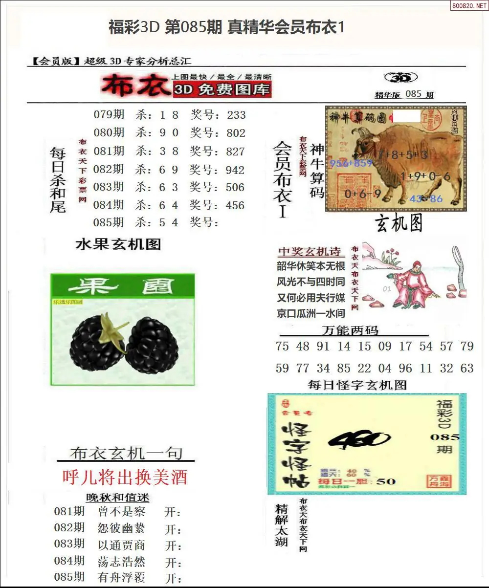 真精华会员布衣1