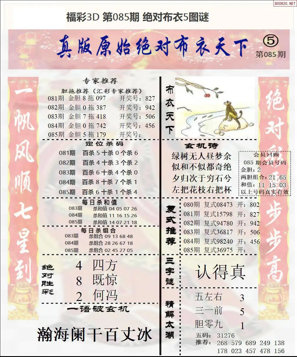 绝对布衣5