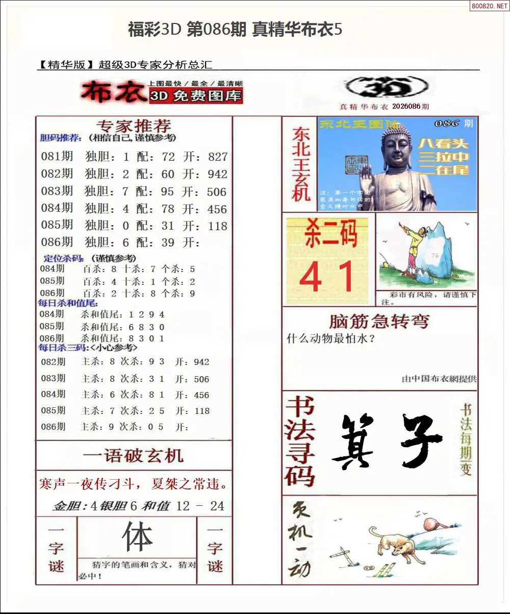 真精华布衣5