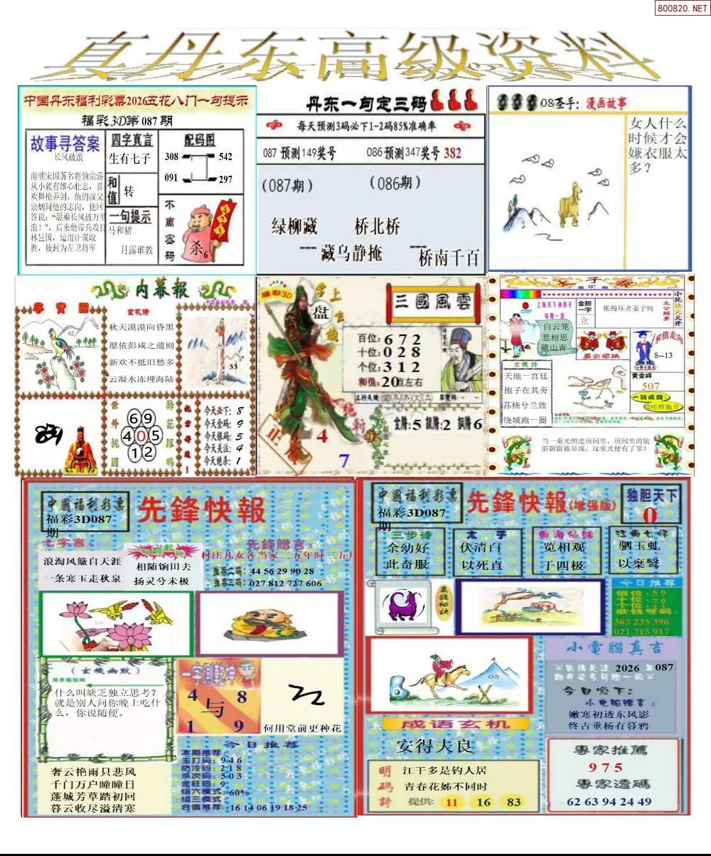 真丹东高级资料