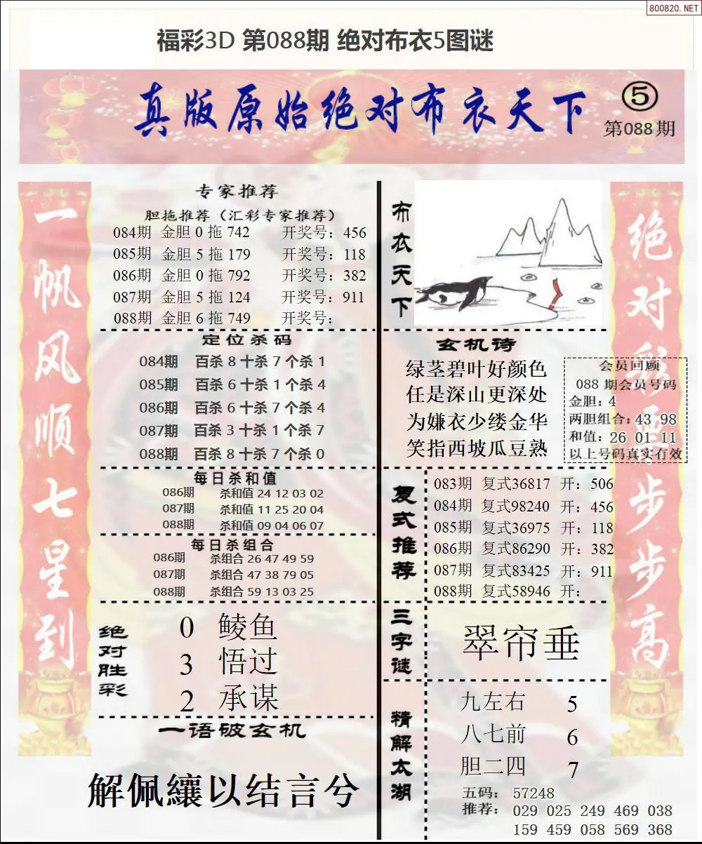 绝对布衣5