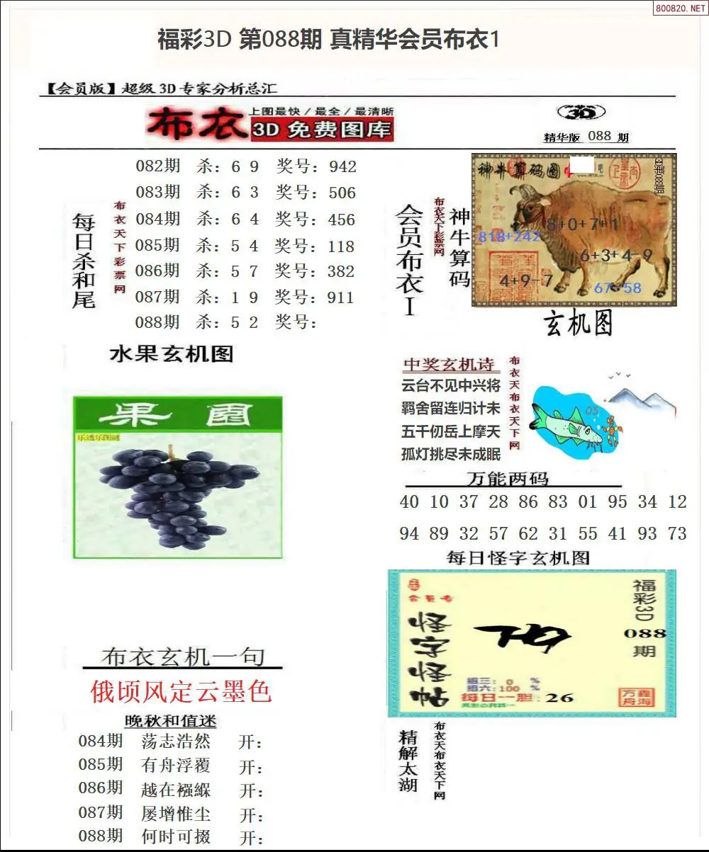 真精华会员布衣1