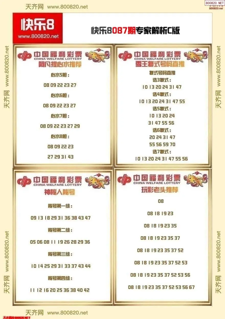 快乐8专家解析C版