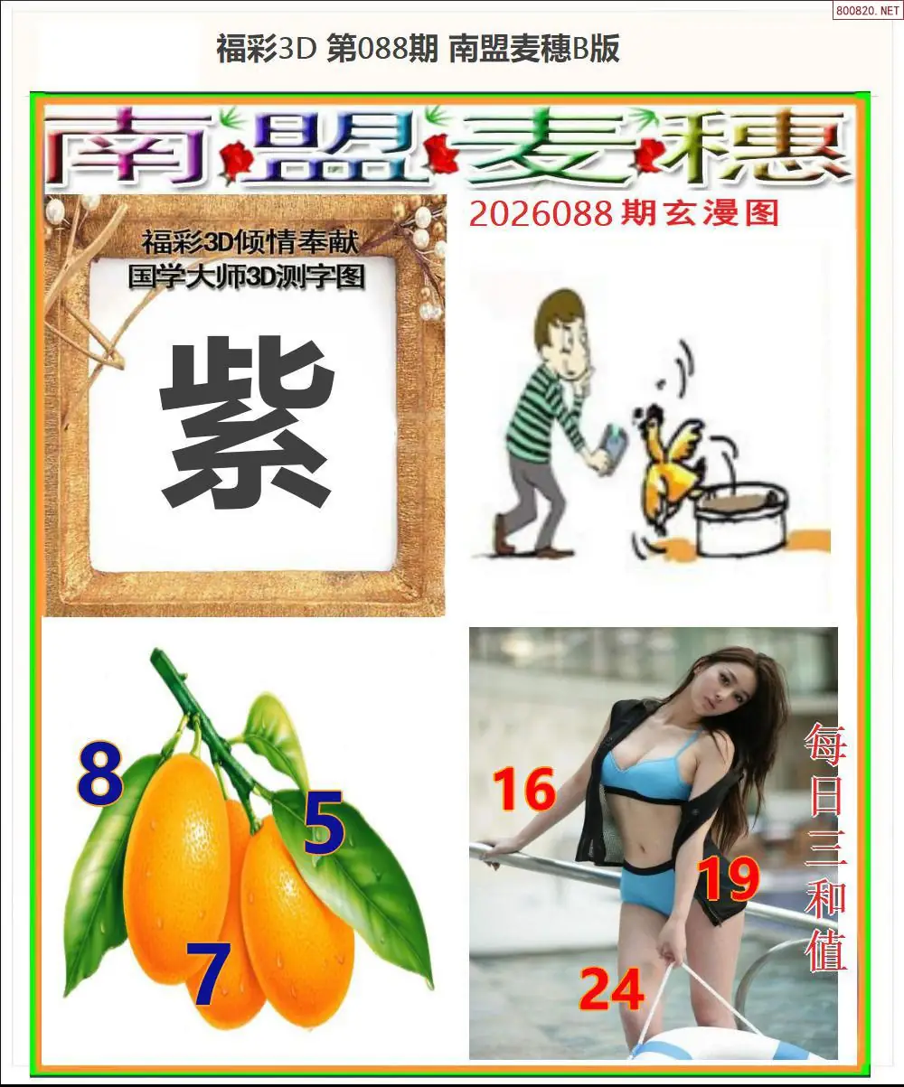 南盟麦穗B版