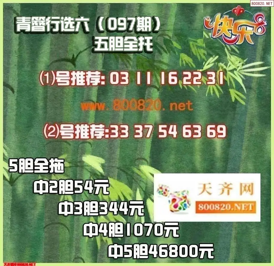 青簪行胆拖图