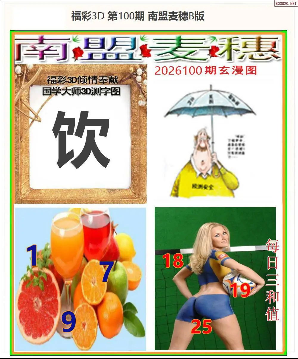 南盟麦穗B版